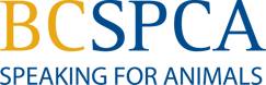 Asset 1bcspca