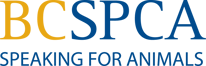 Asset 1bcspca